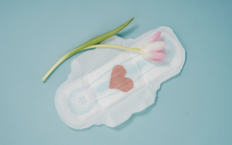 Haid dan Hikmahnya. an-najma.com