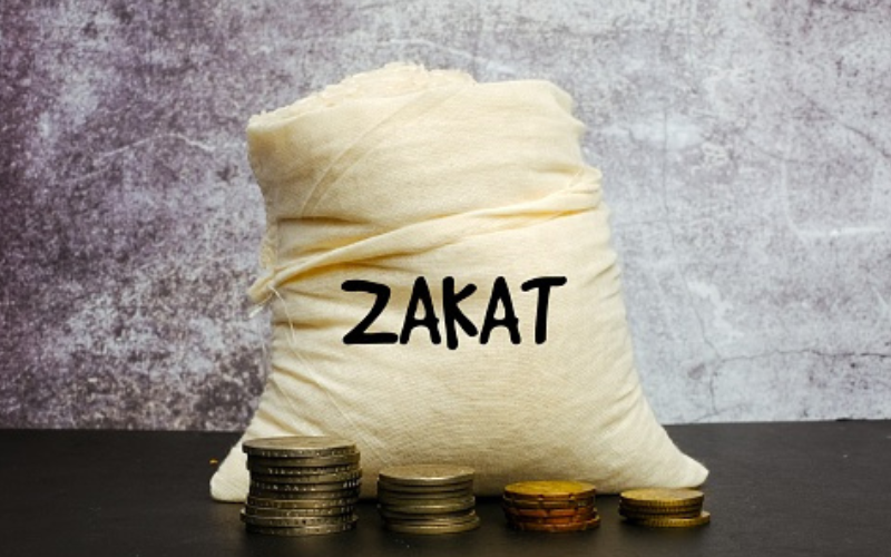 Zakat  Kepada Penuntut Ilmu, Bolehkah. an-najma.com