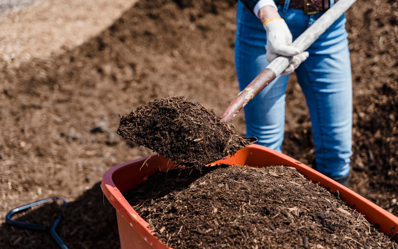 Hukum Jual Beli Kotoran Hewan. an-najma.com