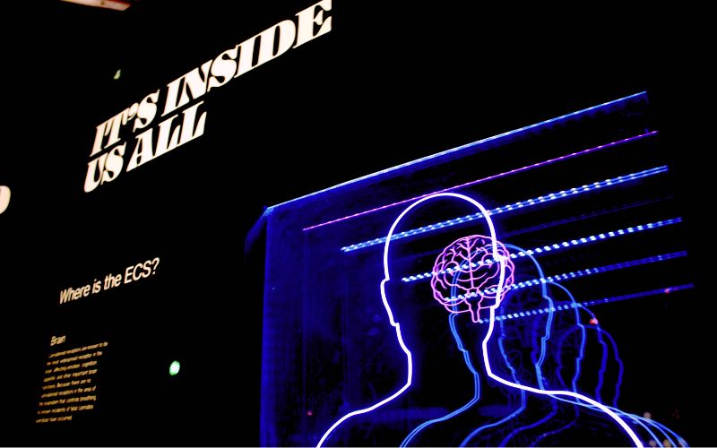 BAHAYA GHAZWUL FIKRI-an-najma.com