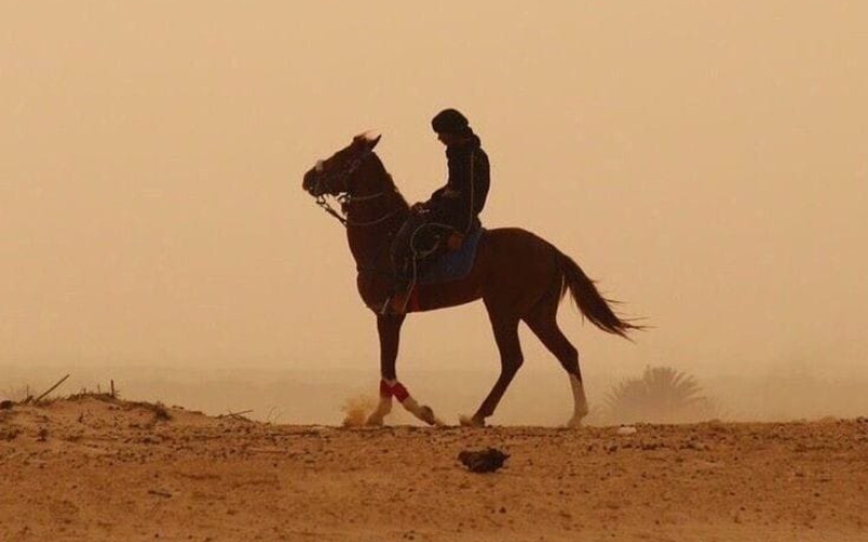 Khilafah Al-Mu'tashim .an-najma.com